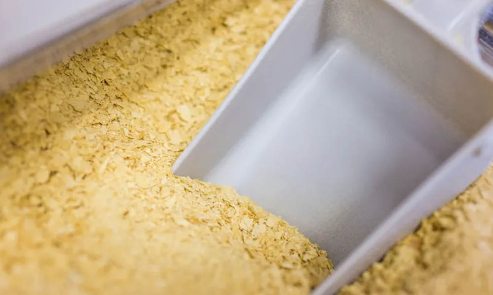 <b>Consejos para reducir la pérdida por fermentación de la cerveza: el efecto de la levadura</b>